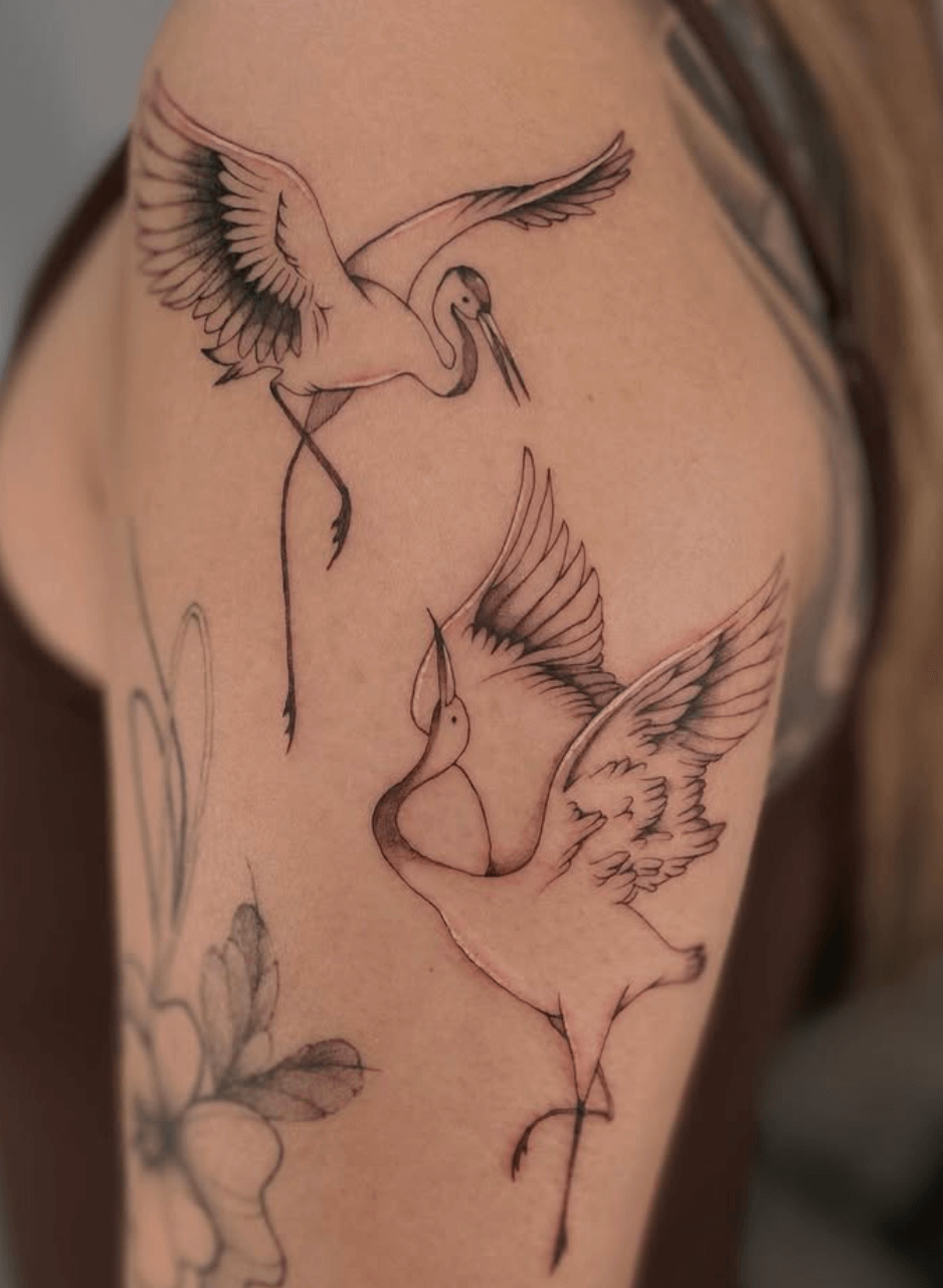 Pair of Elegant Flying Cranes