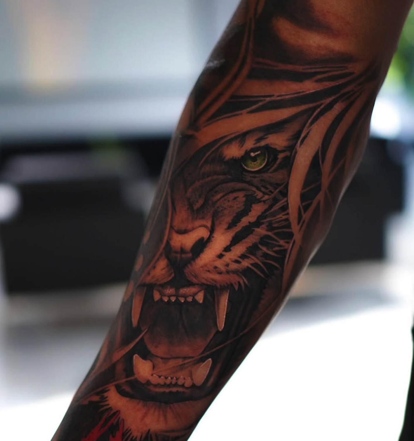 Feral Tiger Gaze