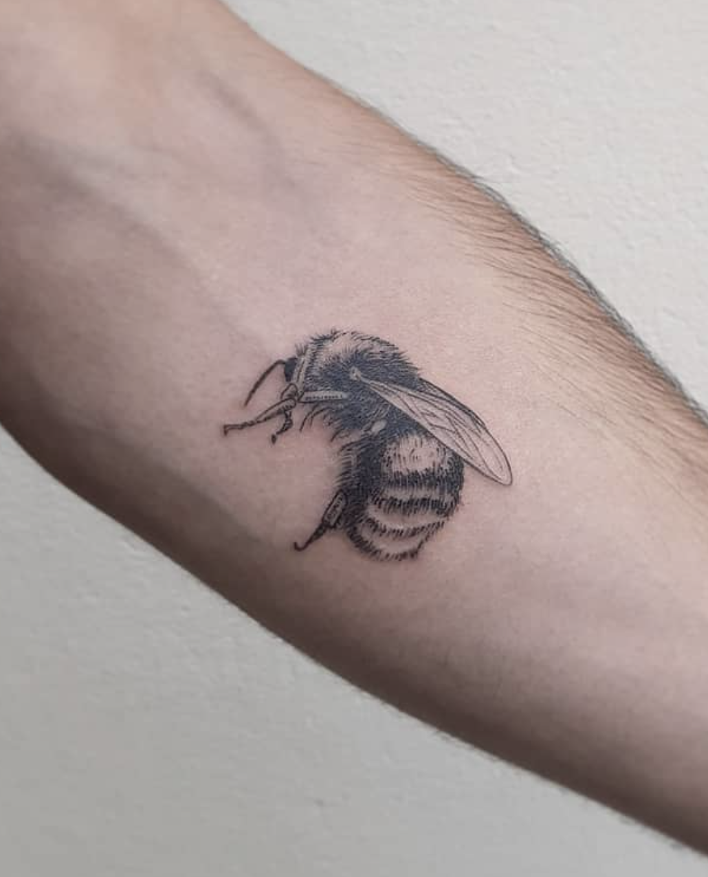 Bee Illustration