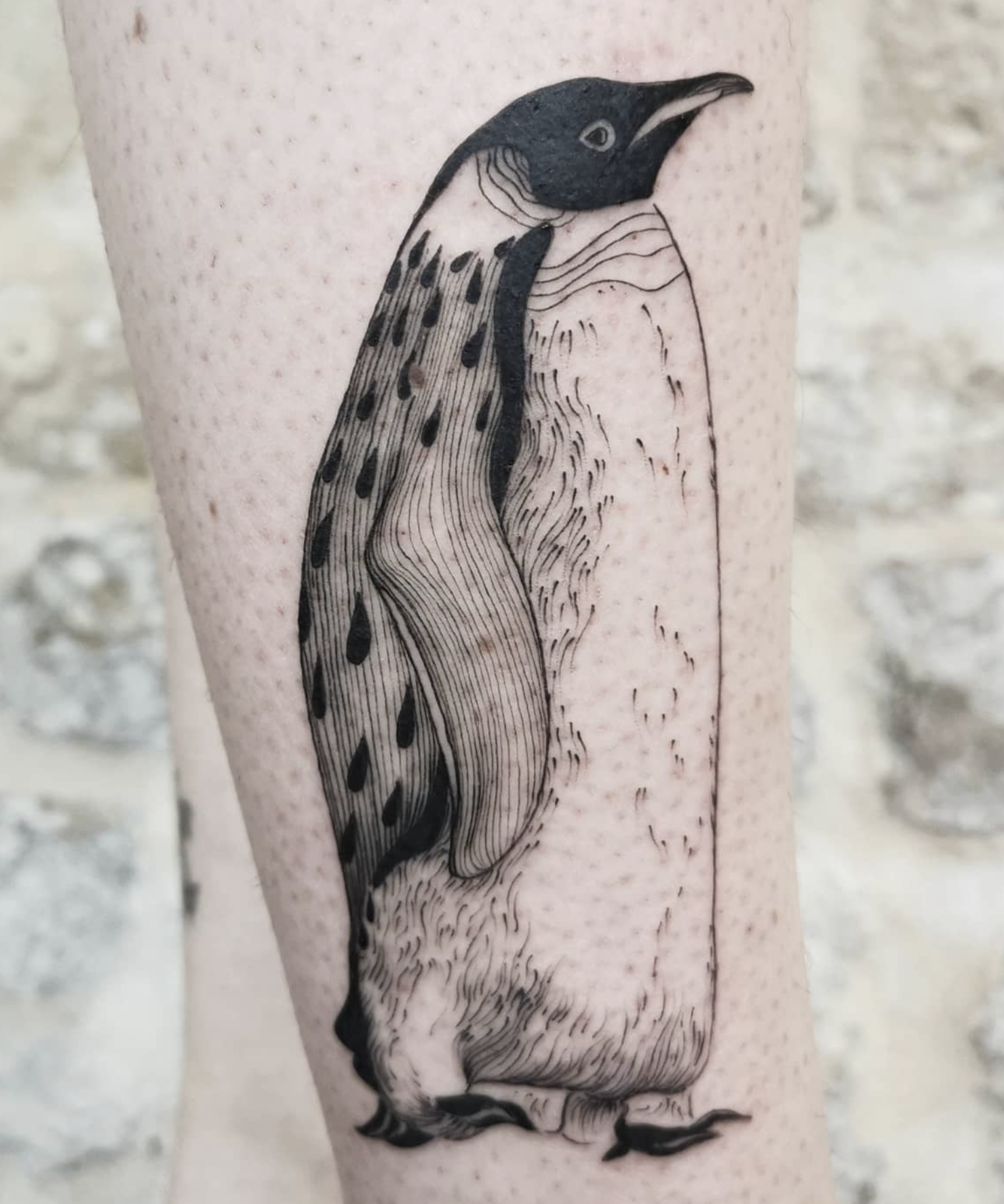 Intricate Penguin
