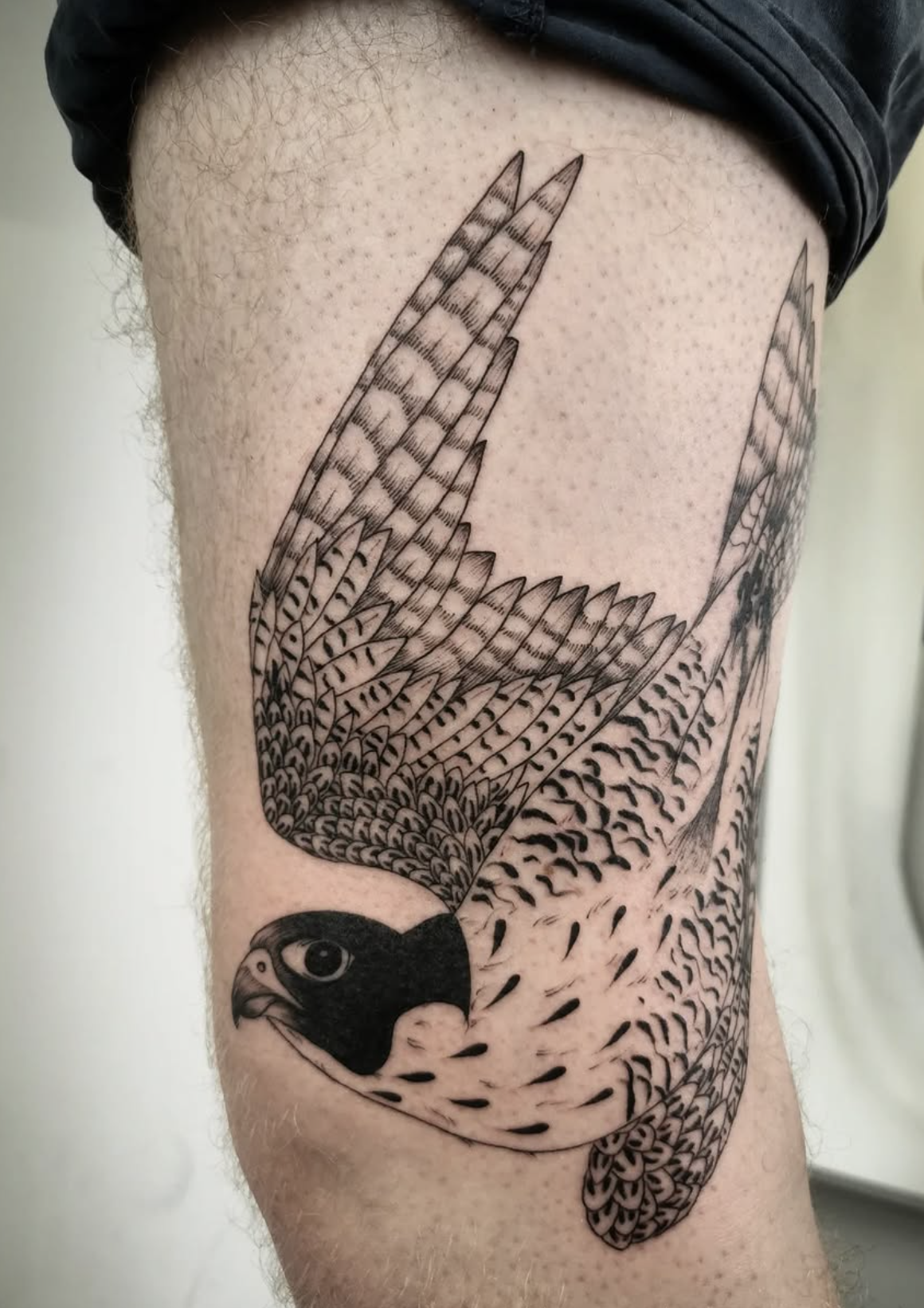 Flying Bird