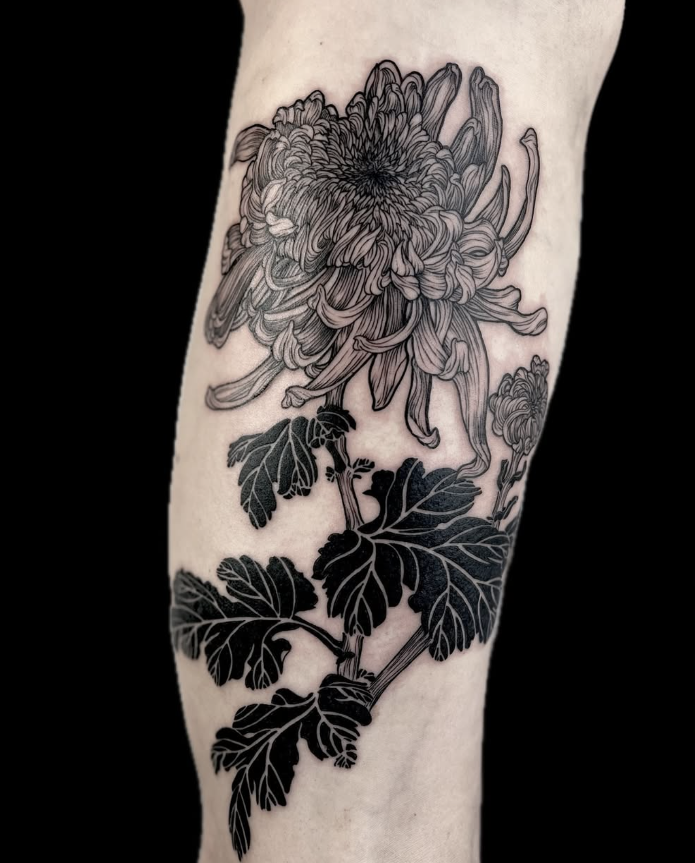Chrysanthemum and Leaf Arrangement
