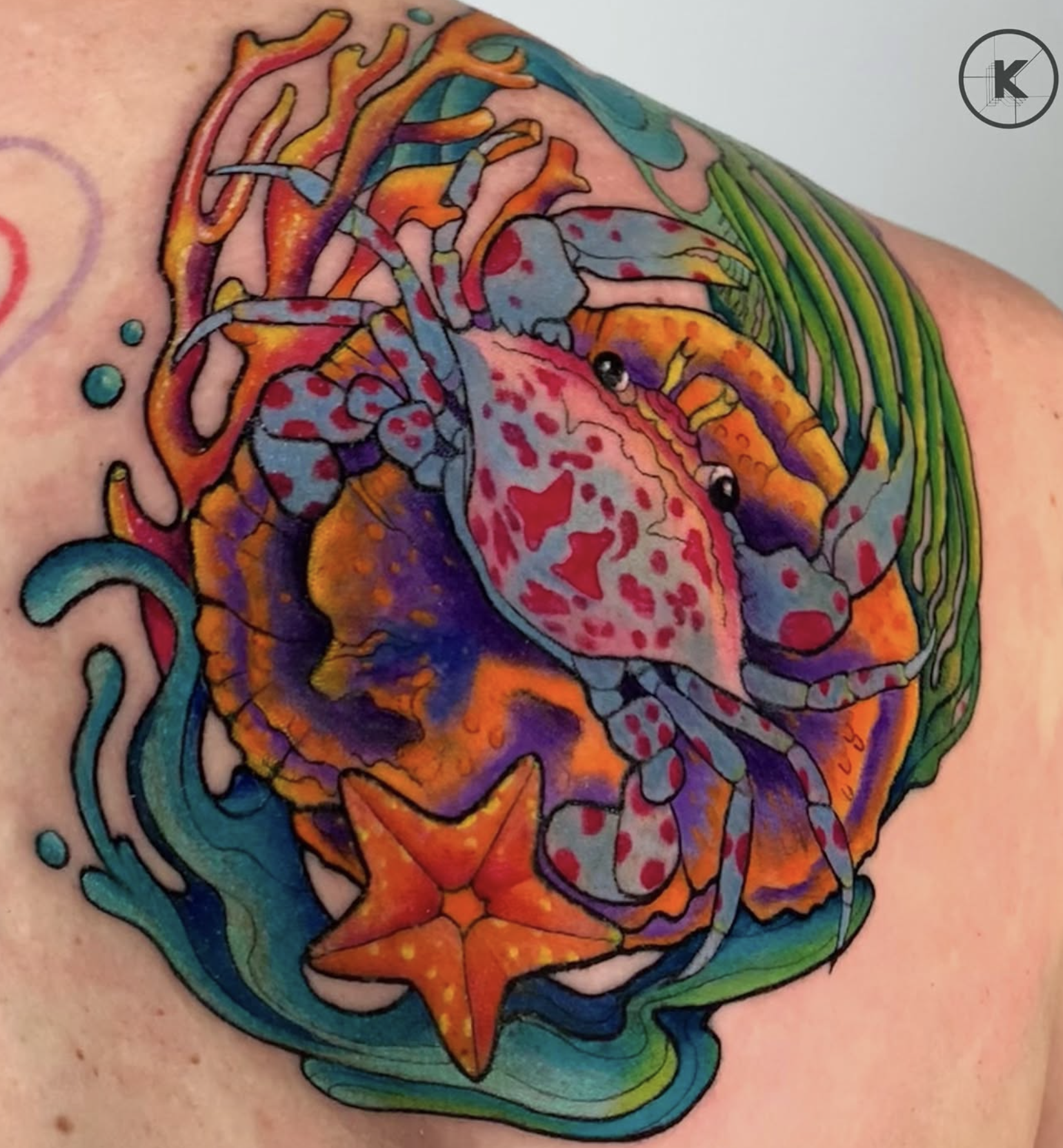 Vibrant Sea Life Scene