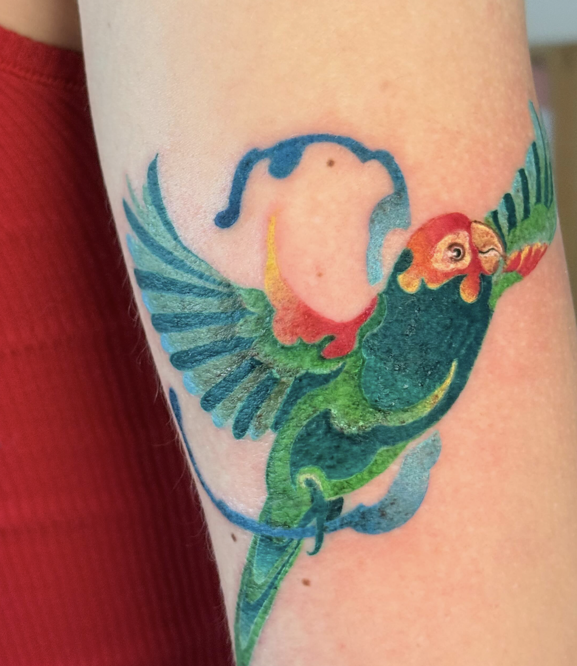 Colorful Parrot in Flight