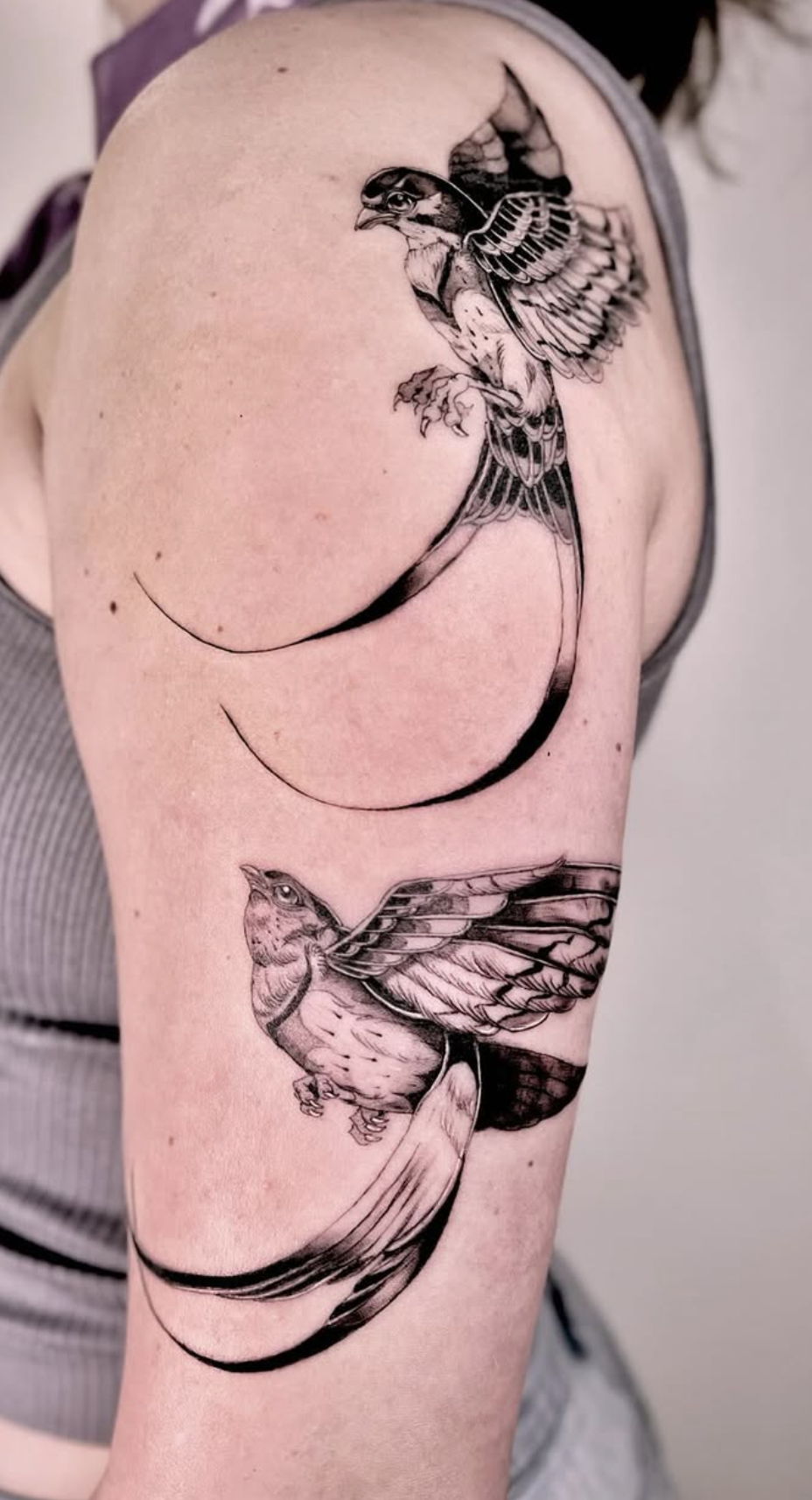 Elegant Swallows in Flight