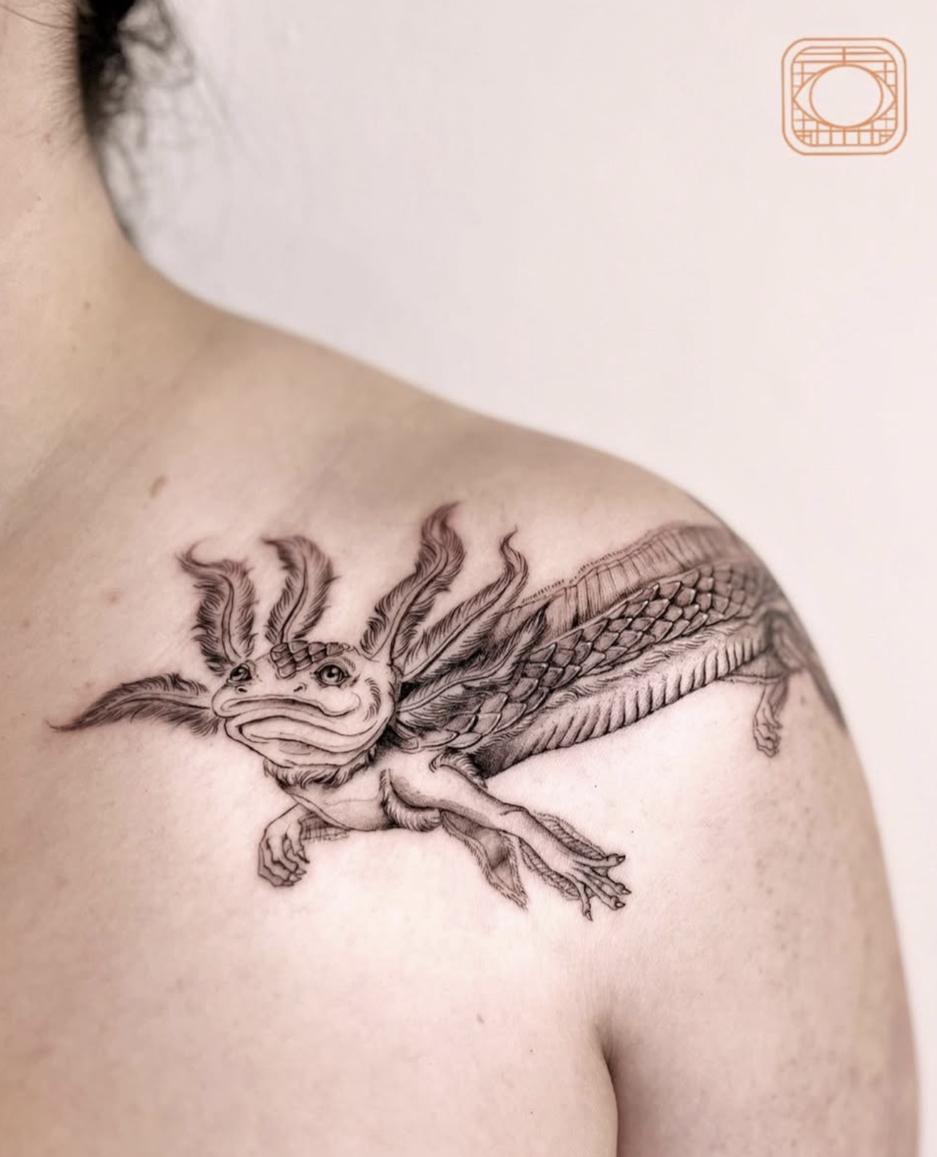 Axolotl