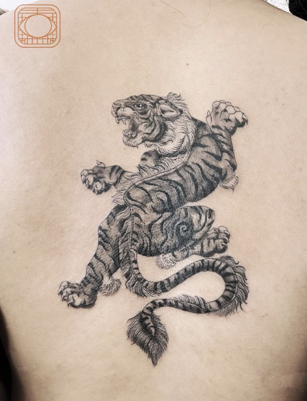 Ferocious Tiger in Motion