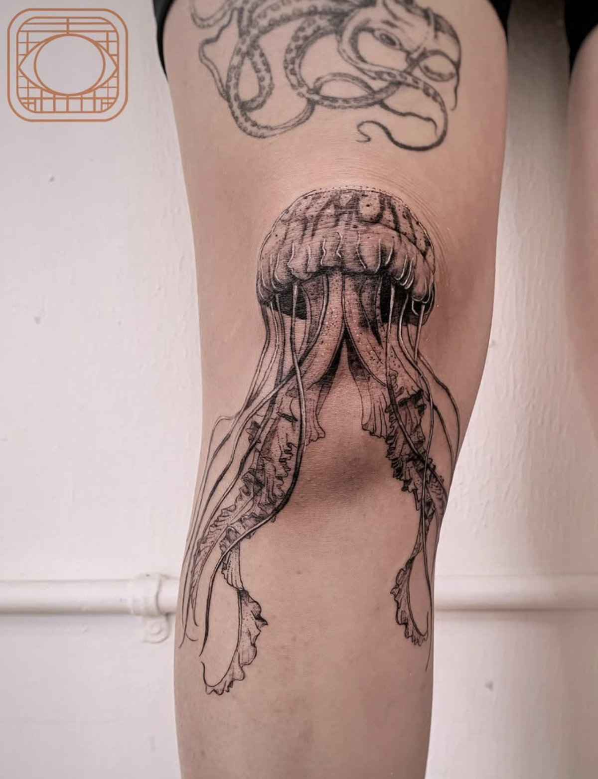 Elegant Jellyfish
