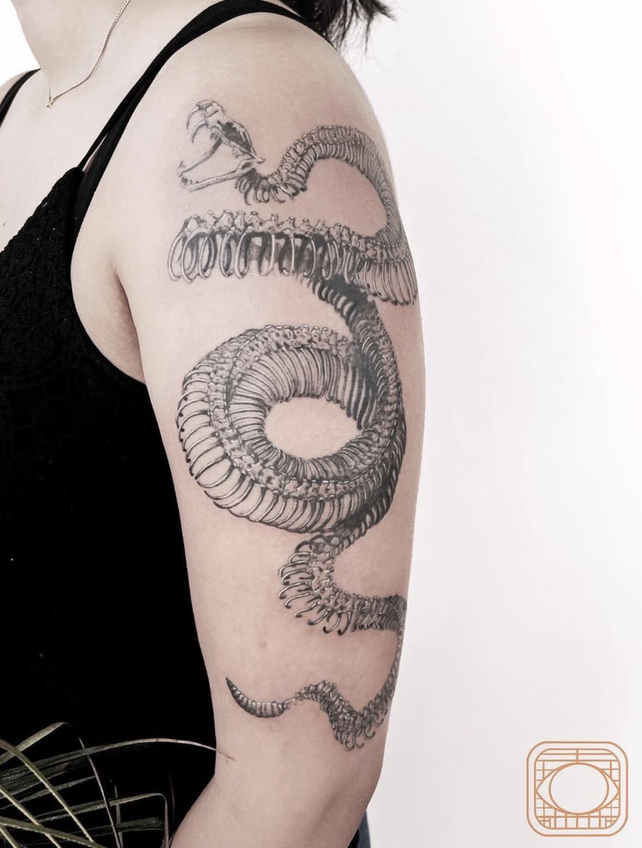 Coiled Serpent