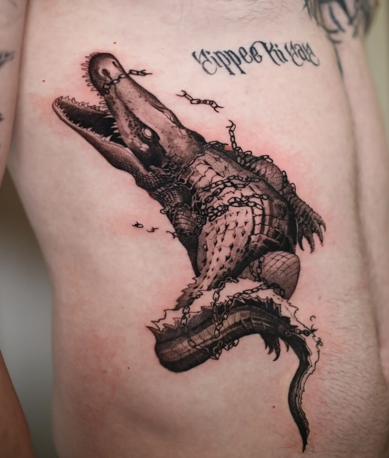 Chained Alligator