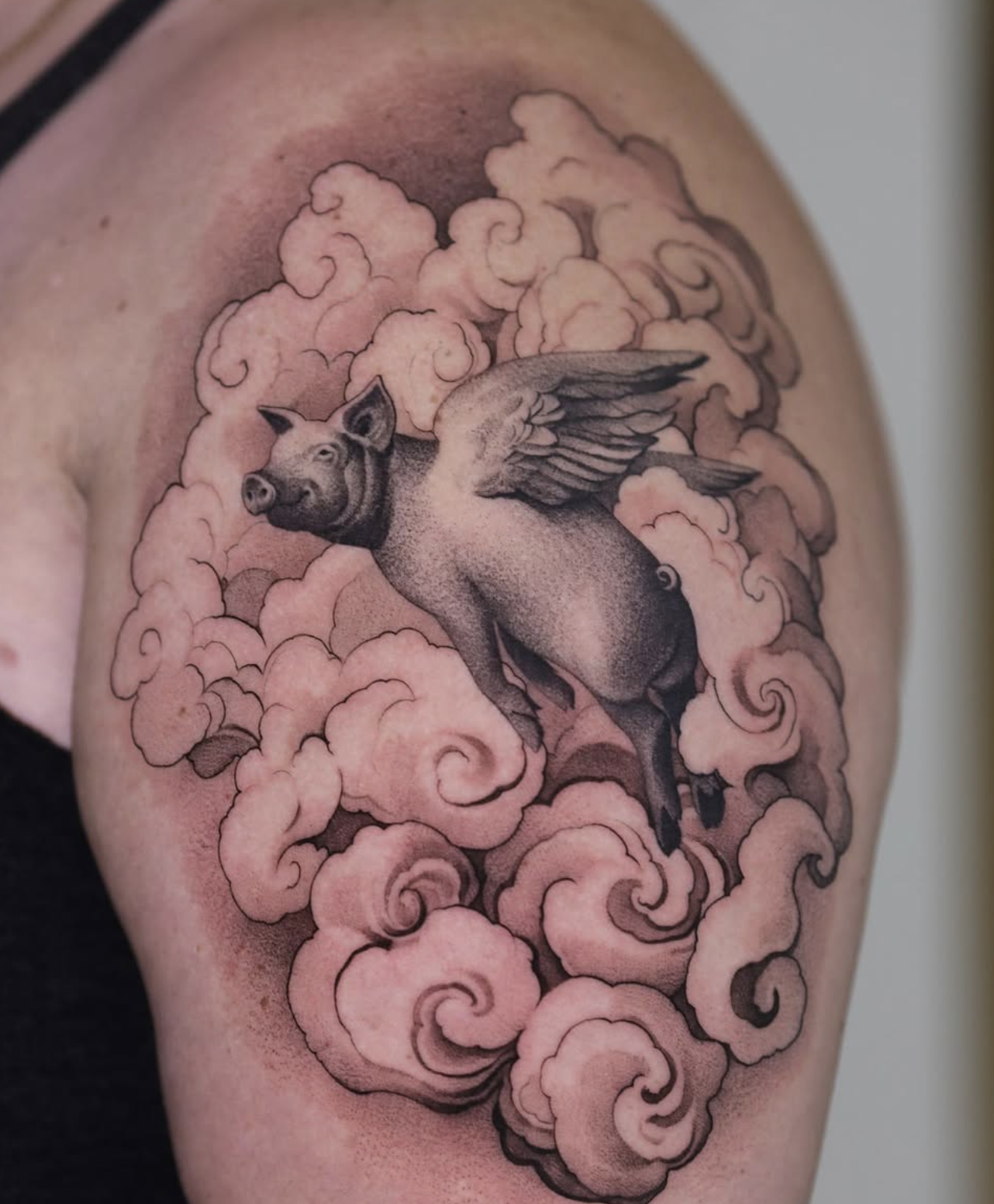 Winged Pig Among Clouds