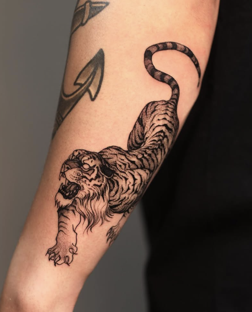 White Eyed Tiger