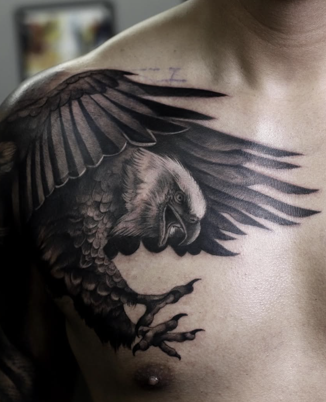 Majestic Bird of Prey