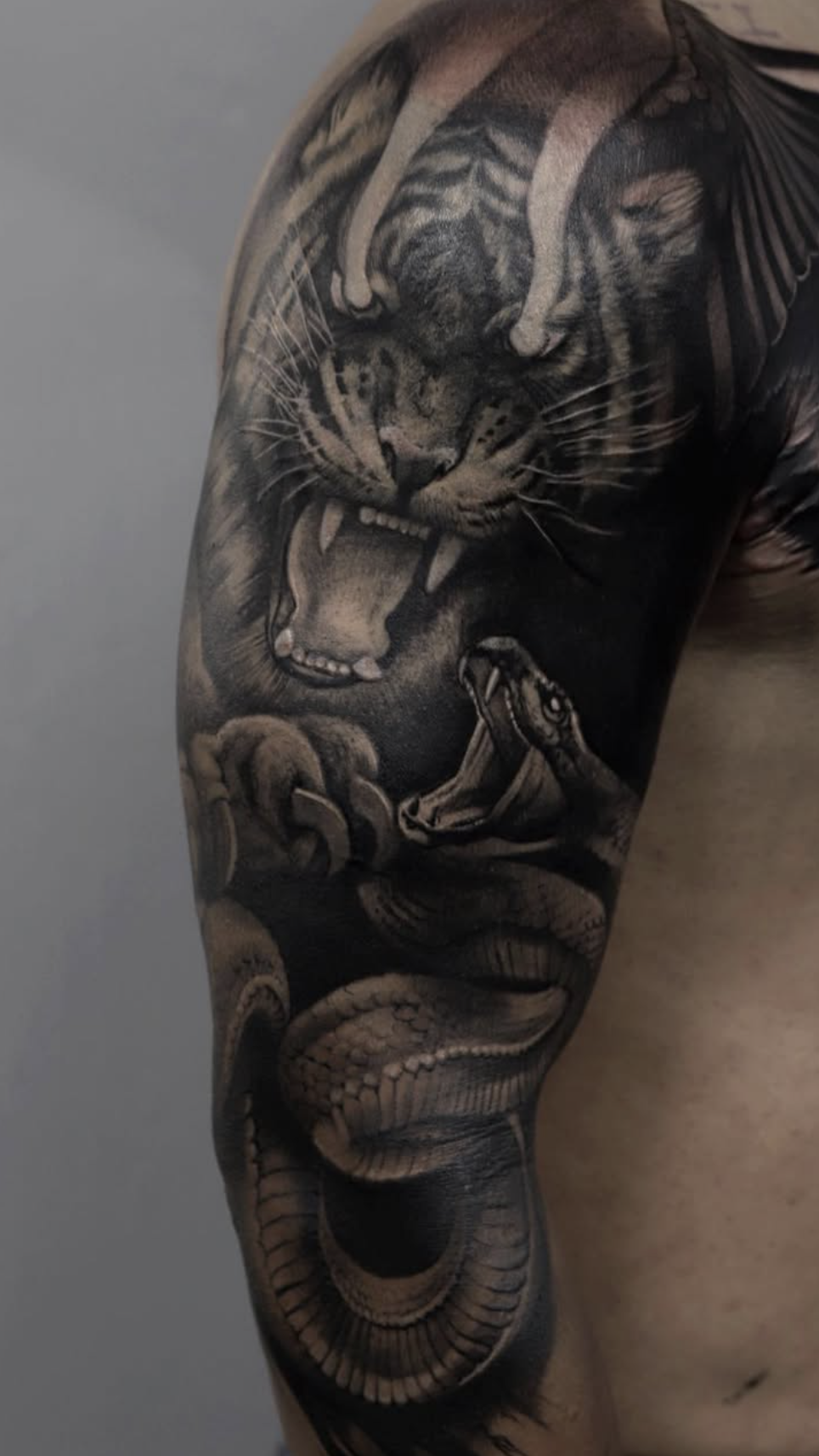 Fierce Animal Encounter