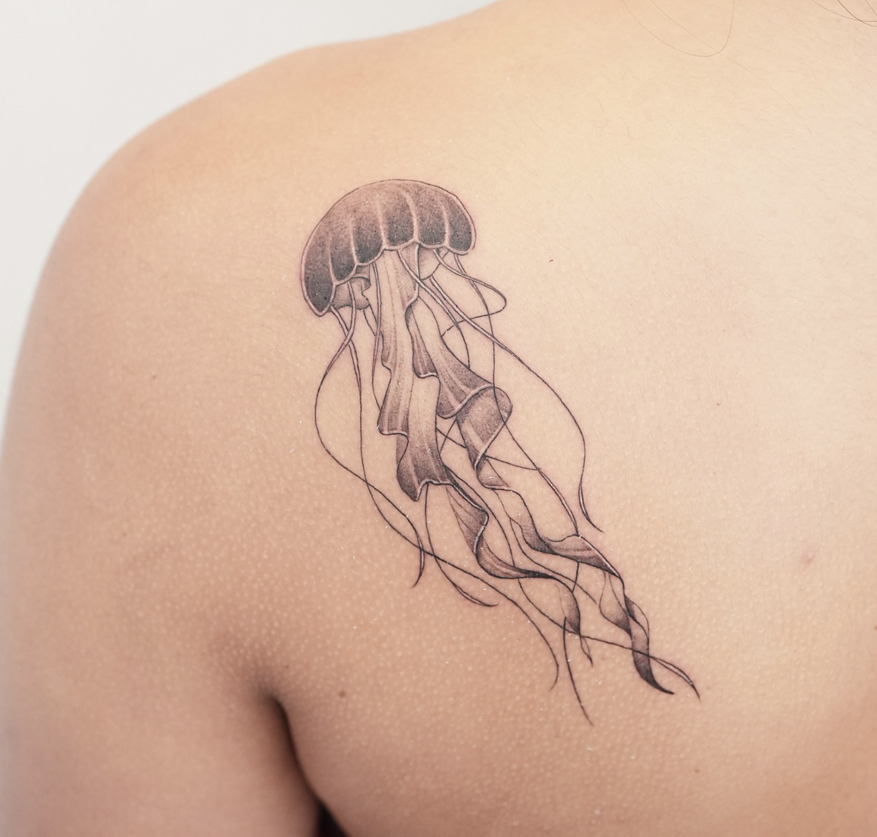 Floating Jellyfish